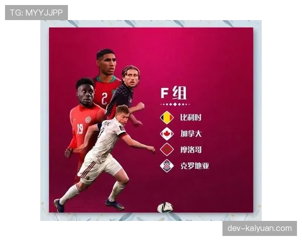 世界杯F组第二名之争预测